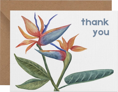 Birds of Paradise - Thank You