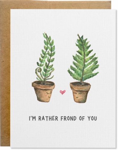 Frond of you plants