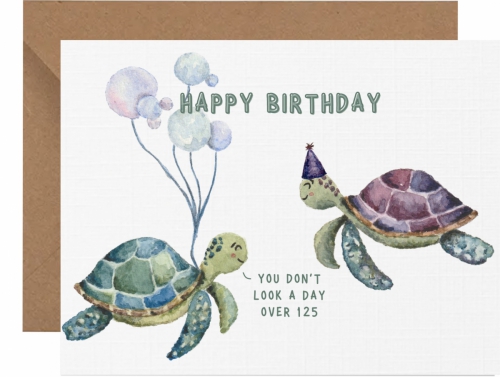 Birthday sea turtles