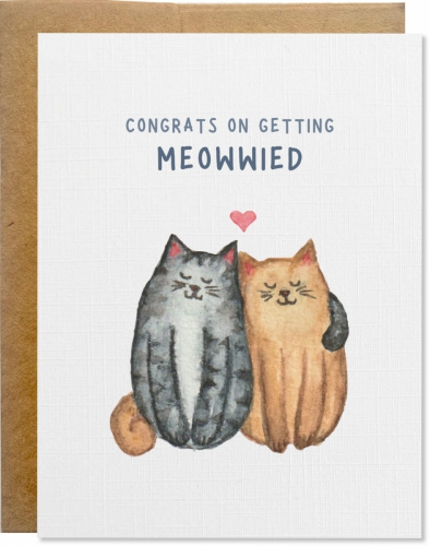 Meowwied cats